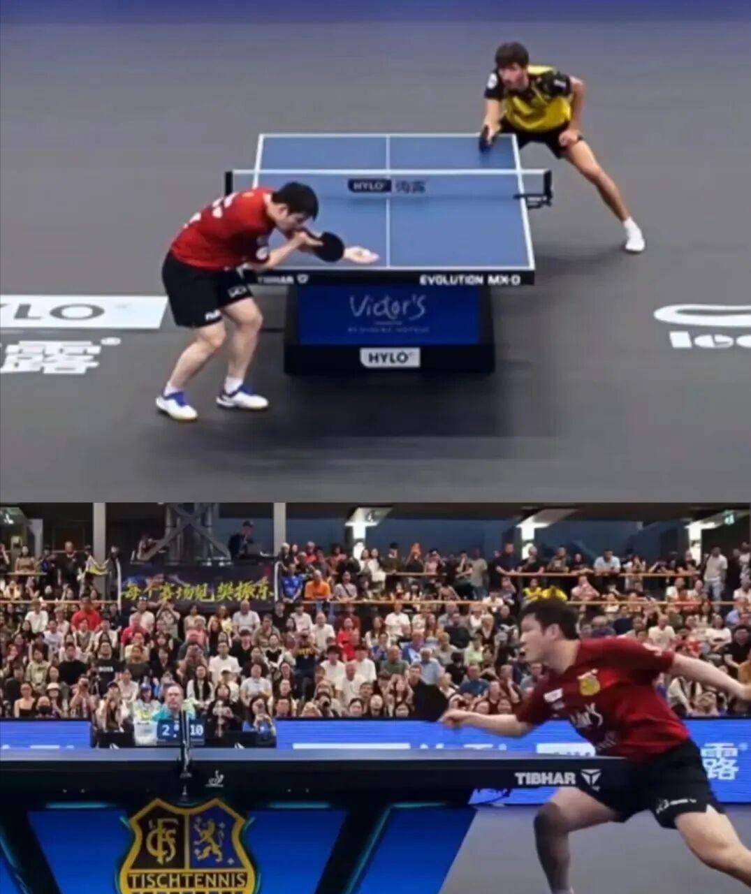 包含关键时刻德国杯传出新动向，新奥尔良鹈鹕扳平良机，管理层表态——底气十足，资深球员宣示担当的词条